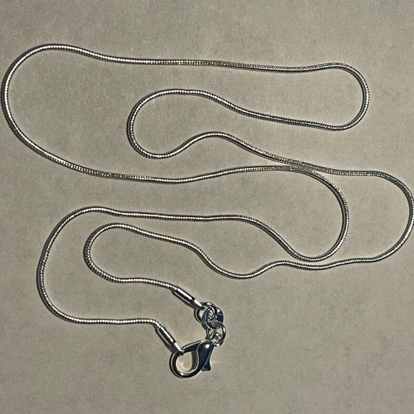 Texas Longhorns NCAA Memory Charm Locket w/ 22 IN chain NEW - Picture 3 of 3